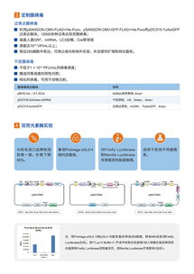 病毒包装相关试剂盒与一站式服务 为科研保驾护航