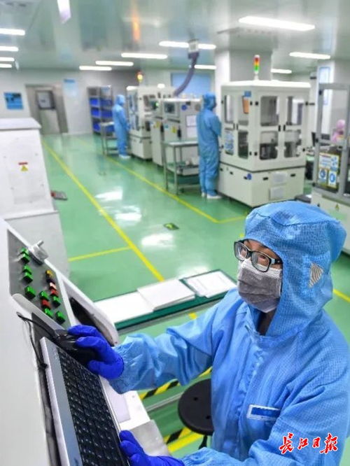 大城奋进 武汉民营经济高质量发展观察④ 技术服务驱动民营企业转型与城市共生